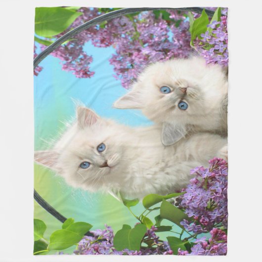 Fleece Blanket/Kätzchen (Vorderseite)