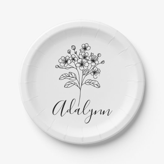 Fleece Blanket Pappteller (Vorderseite)