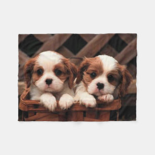 Fleece Blanket/Puppies
