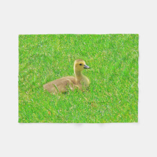 Fleece-Decke Kanada-Gans Fleecedecke
