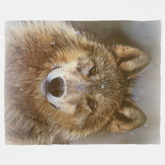 Fleece-Decke/Wolf Fleecedecke (Vorderseite (Horizontal))