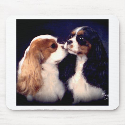 Fleet Street-Nova Tippy Mousepad (Vorne)