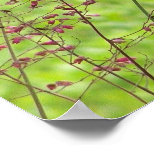 FleetsSummer Friend Poster (Ecke)