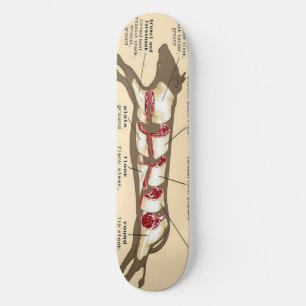 Fleisch-Brett Mobber Skateboard