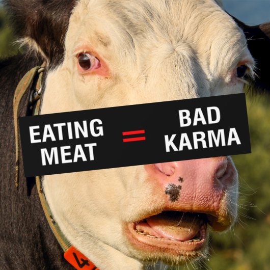 Fleisch essen = Bad Karma, Veganer Aktivismus, Autoaufkleber