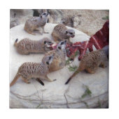 Fleisch fressende Fleischkatzen mit Teebechern, Fliese (Vorderseite)