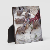 Fleisch fressende Fleischkatzen mit Teebechern, Fotoplatte (Vorderseite)