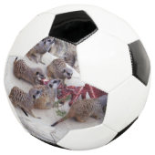 Fleisch fressende Fleischkatzen mit Teebechern, Fußball (Dreiviertel)