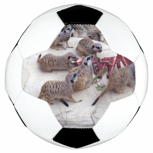 Fleisch fressende Fleischkatzen mit Teebechern, Fußball (Vorderseite)