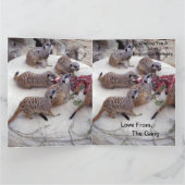 Fleisch fressende Fleischkatzen mit Teebechern, Karte (Innenseite)