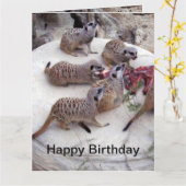 Fleisch fressende Fleischkatzen mit Teebechern, Karte (Gelbe Blume)