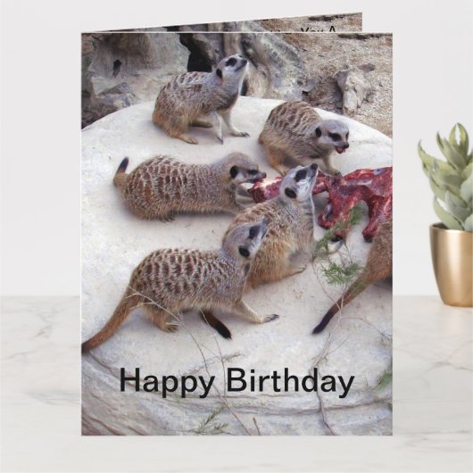 Fleisch fressende Fleischkatzen mit Teebechern, Karte (Kleine Pflanze)