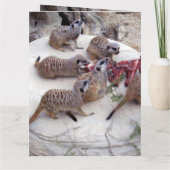 Fleisch fressende Fleischkatzen mit Teebechern, Karte (Rückseite)