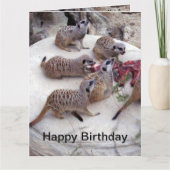 Fleisch fressende Fleischkatzen mit Teebechern, Karte (Vorderseite)