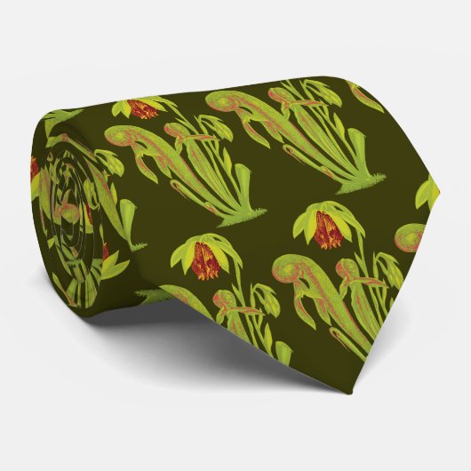 Fleisch fressende Kalifornien-Krug-Pflanze Krawatte (Gerollt)