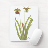 Fleisch fressende Pflanze - Sarracenia rubra Mousepad (Mit Mouse)