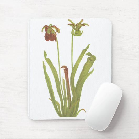 Fleisch fressende Pflanze - Sarracenia rubra Mousepad (Mit Mouse)