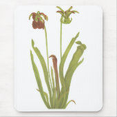 Fleisch fressende Pflanze - Sarracenia rubra Mousepad (Vorne)