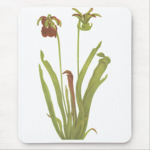 Fleisch fressende Pflanze - Sarracenia rubra Mousepad