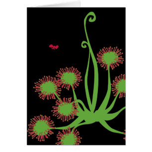 Fleisch fressende Sundew Pflanze