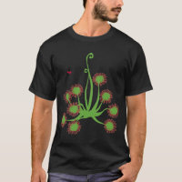 Fleisch fressende Sundew Pflanze