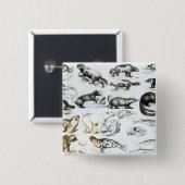 Fleisch fressende Tiere Button (Vorne & Hinten)