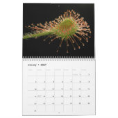 Fleisch fressender Pflanzen-Kalender Kalender (Jan 2027)