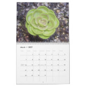 Fleisch fressender Pflanzen-Kalender Kalender (Mär 2027)