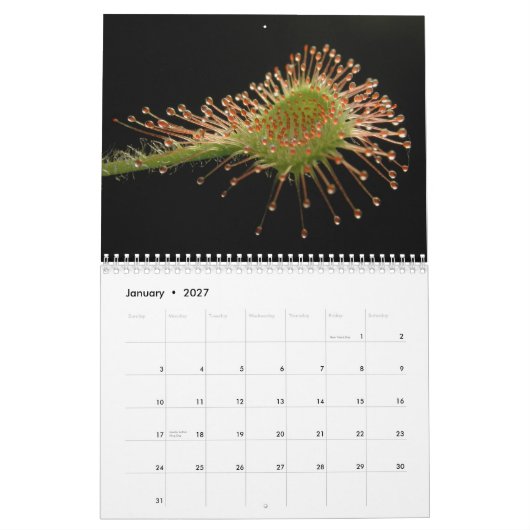 Fleisch fressender Pflanzen-Kalender Kalender (Jan 2027)