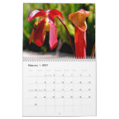 Fleisch fressender Pflanzen-Kalender Kalender (Feb 2027)