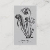 Fleisch fressendes Pflanzen-Kinderzimmer Visitenkarte (Rückseite)