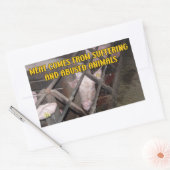 Fleisch kommt aus Leiden, Veganem Aktivismus Rechteckiger Aufkleber (Umschlag)