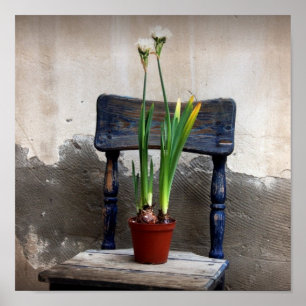 Fleisch und Flower Poster