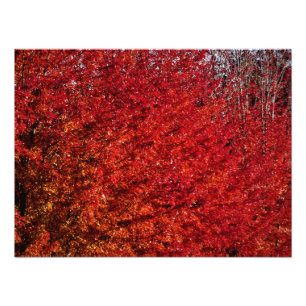 "Fleisch und Knochen" Fotodruck