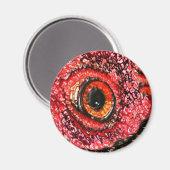 FleischAuge Magnet (Vorderseite/Rückseite)