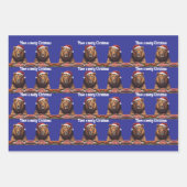 Fleischfresser-Geschenkpapier-Flat Sheet Set aus 3 Geschenkpapier Set (Vorderseite 3)
