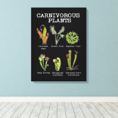 Fleischfresser Pflanze Art Saracenia Venus Flytrap Leinwanddruck (Insitu (Holzboden))