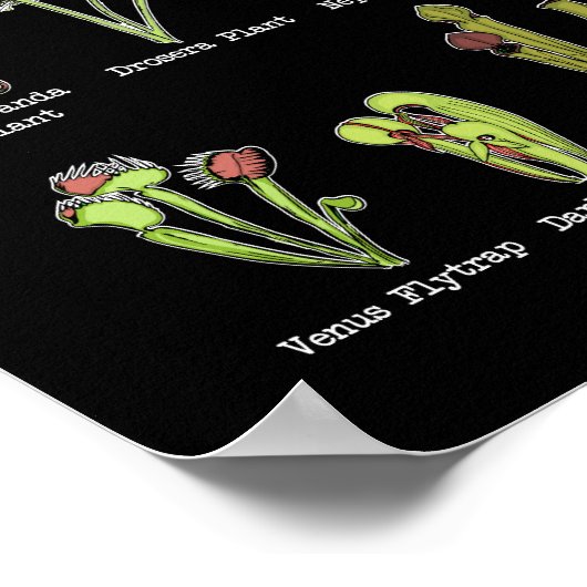 Fleischfresser Pflanze Art Saracenia Venus Flytrap Poster (Ecke)