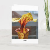 Fleischfresser-Pflanze Geburtstagskarte Karte (Rückseite)