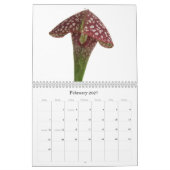 Fleischfresser-Pflanze Kalender (Feb 2027)