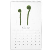 Fleischfresser-Pflanze Kalender (Jan 2027)