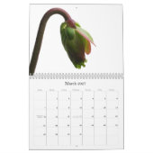 Fleischfresser-Pflanze Kalender (Mär 2027)