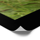 Fleischfresser-Pflanze Poster (Ecke)