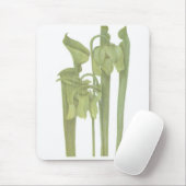 Fleischfresser-Pflanze - Sarracenia flava Mousepad (Mit Mouse)