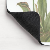 Fleischfresser-Pflanze - Sarracenia purpurea Mousepad (Ecke)