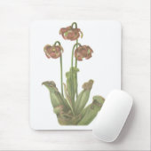 Fleischfresser-Pflanze - Sarracenia purpurea Mousepad (Mit Mouse)