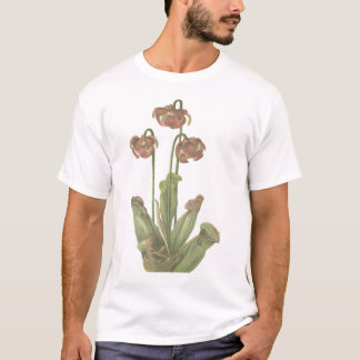 Fleischfresser-Pflanze - Sarracenia purpurea T-Shirt