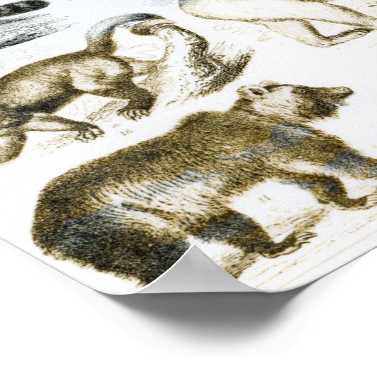 Fleischfresser Poster (Ecke)