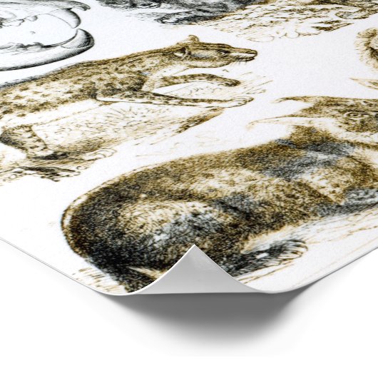 Fleischfresser Poster (Ecke)