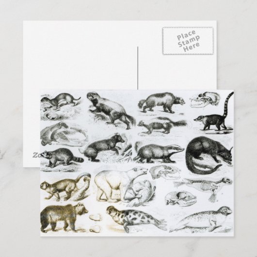 Fleischfresser Postkarte (Vorne/Hinten)